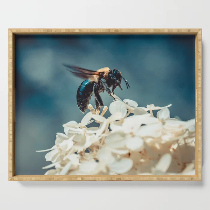 Lift-off. Bee Photograph Serving Tray
by lovefi 
