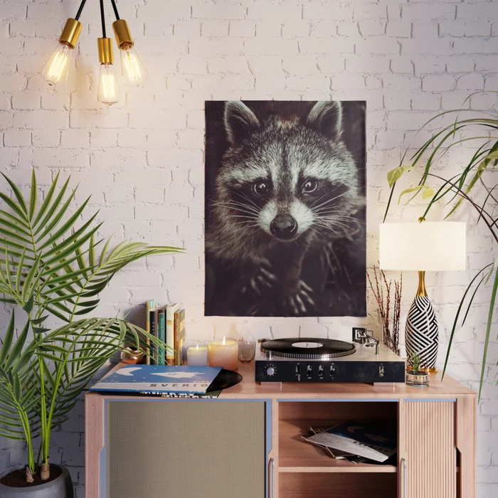 Reclusive Raccoon Photograph Poster
by lovefi 
