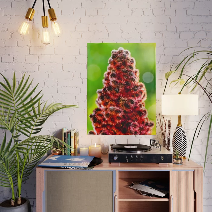 Staghorn Sumac. Photograph Poster
by lovefi 